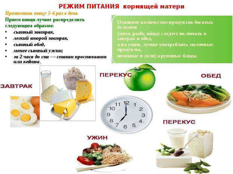 Правильное питание во время кормления грудью • центр гинекологии в санкт-петербурге
