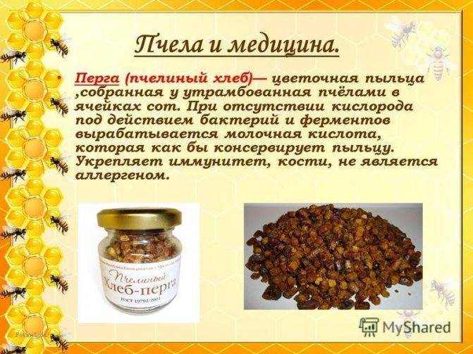 Апипрофилактика и апитерапия в клинике нервных болезней (по данным литературы и собственных исследований)
