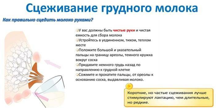 Как правильно сцеживать грудное молоко руками с груди при прекращении лактации | parnas42.ru