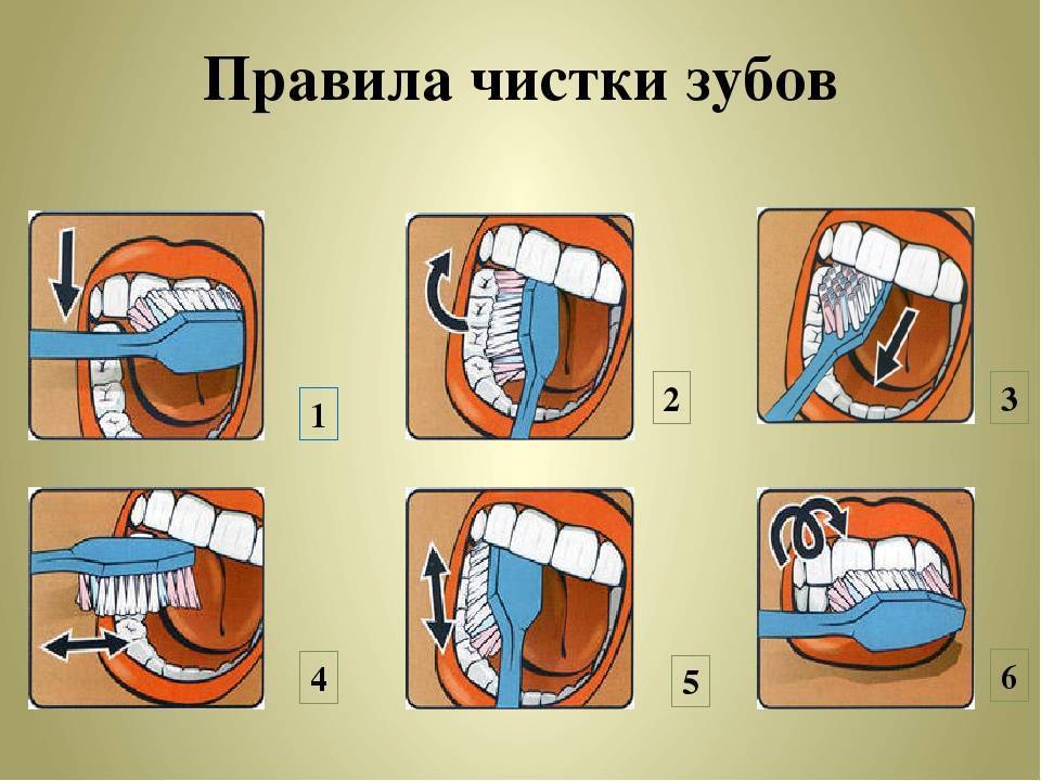 Как правильно чистить зубы фото Как лучше чистить зубы - CoffeePapa.ru