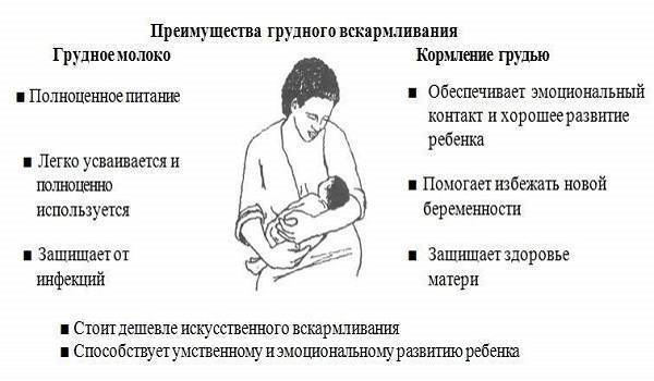 Признаки беременности при гв: симптомы и признаки без месячных