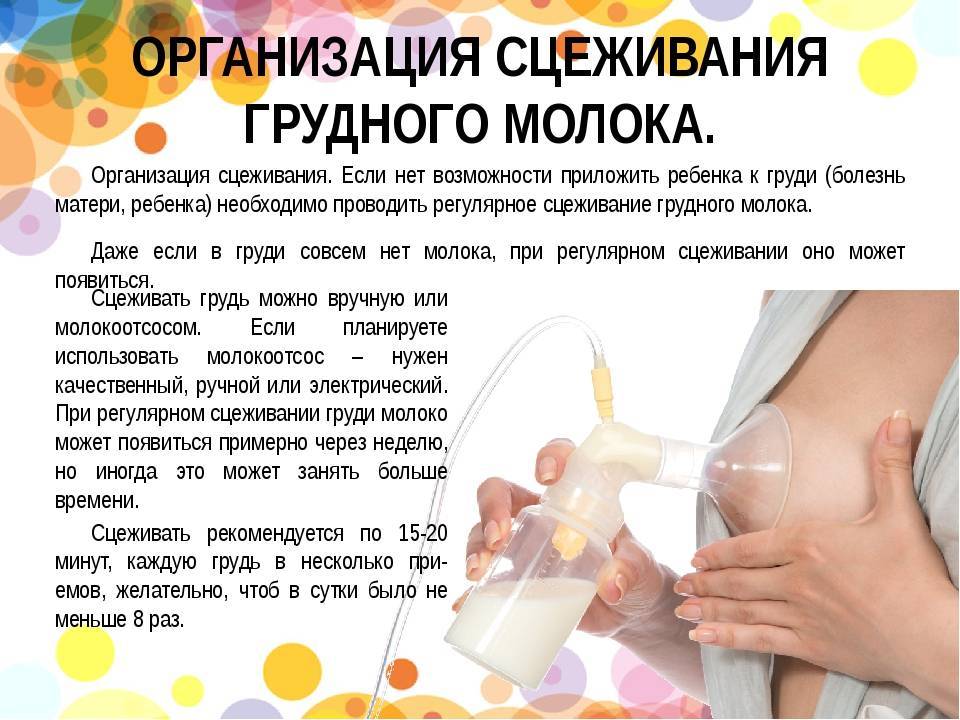 Когда приходит молоко после родов: этапы становления лактации, как разработать грудь