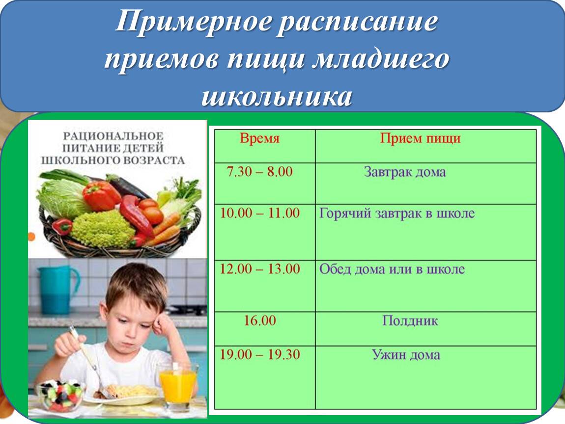 Правильное питание школьника: меню, режим и программа здорового питания учащихся в школе, рекомендации по полезному рацион ребенка