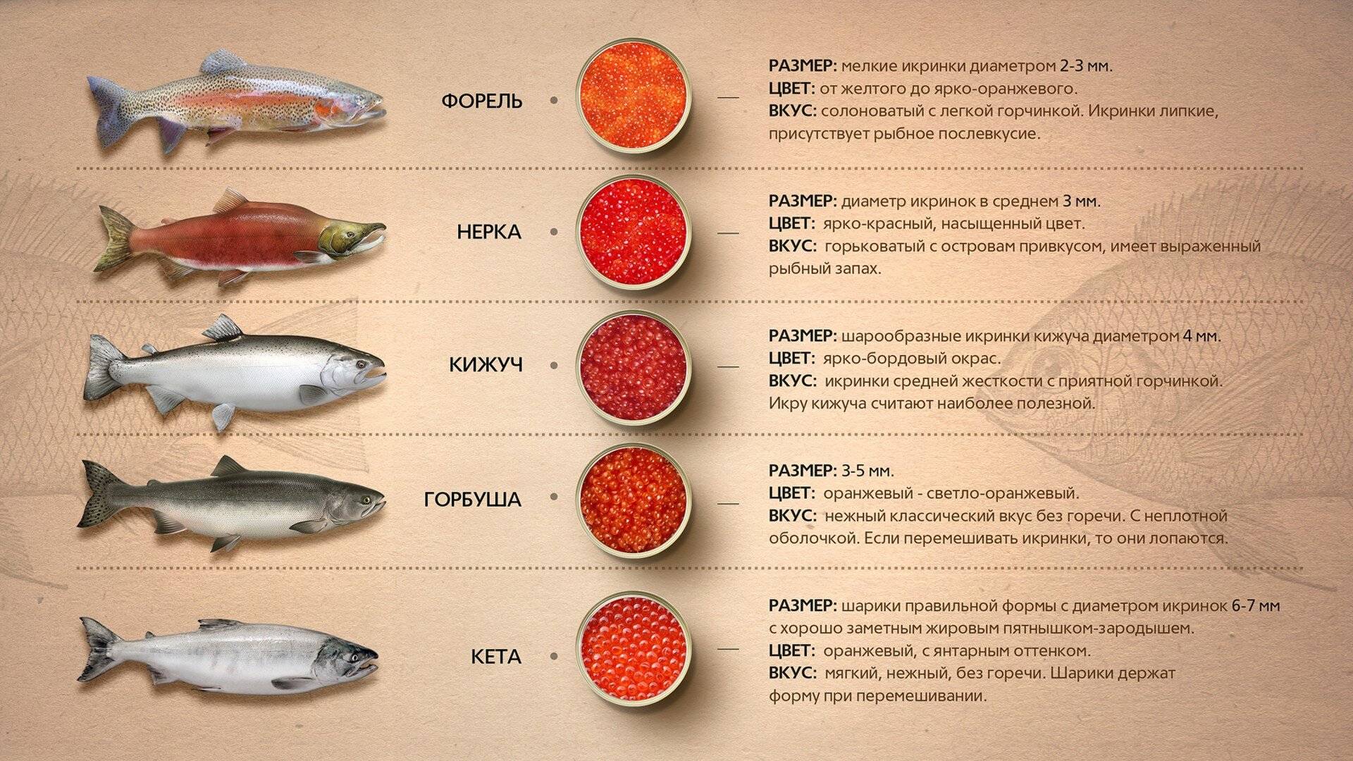 С какого возраста и какую рыбу можно детям?