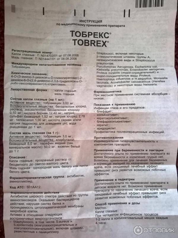 Тобрекс срок годности