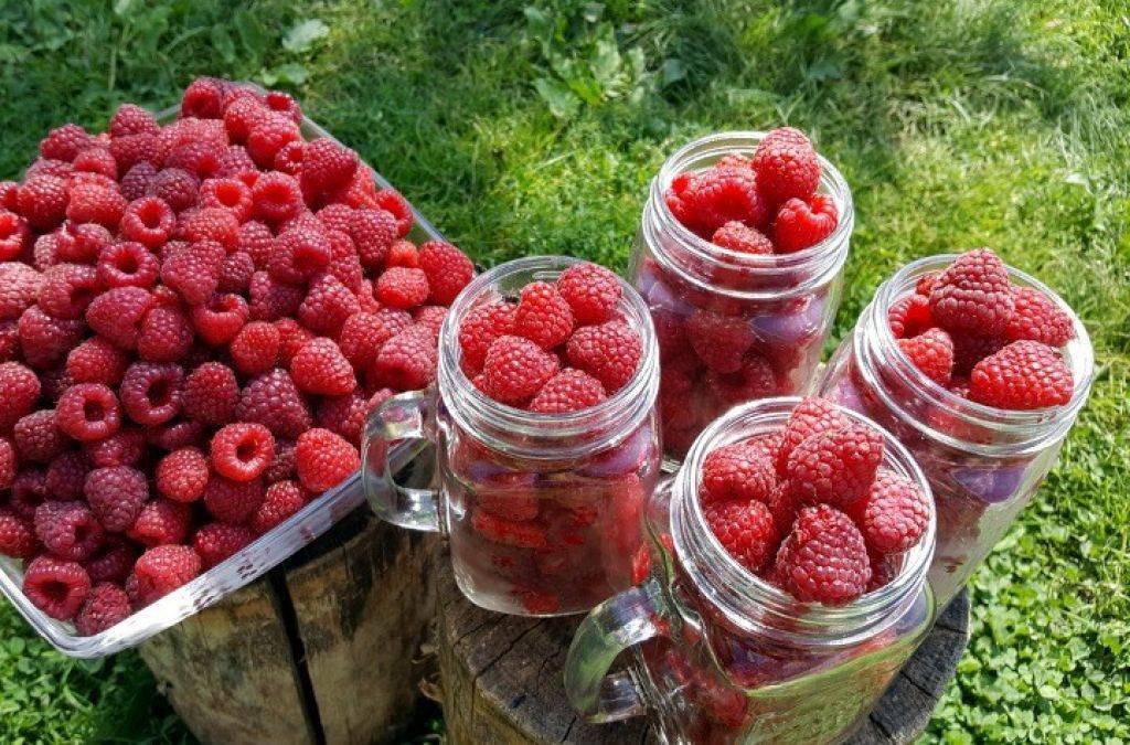 Можно ли детям клубнику, с какого возраста, сколько