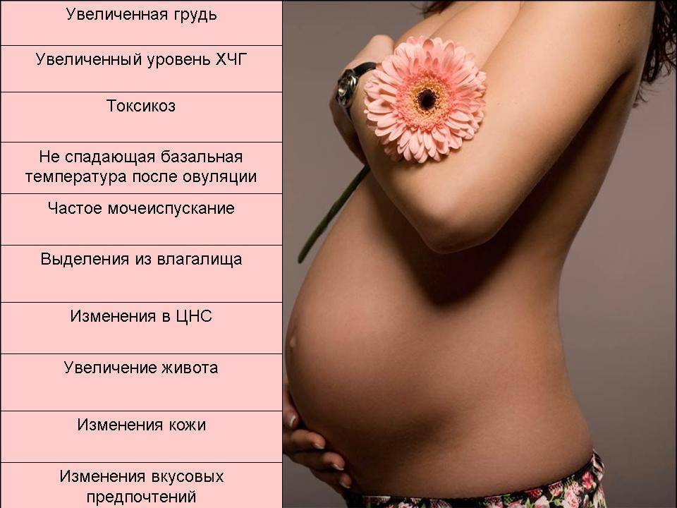 Грудь на ранних сроках беременности: какие изменения происходят / mama66.ru