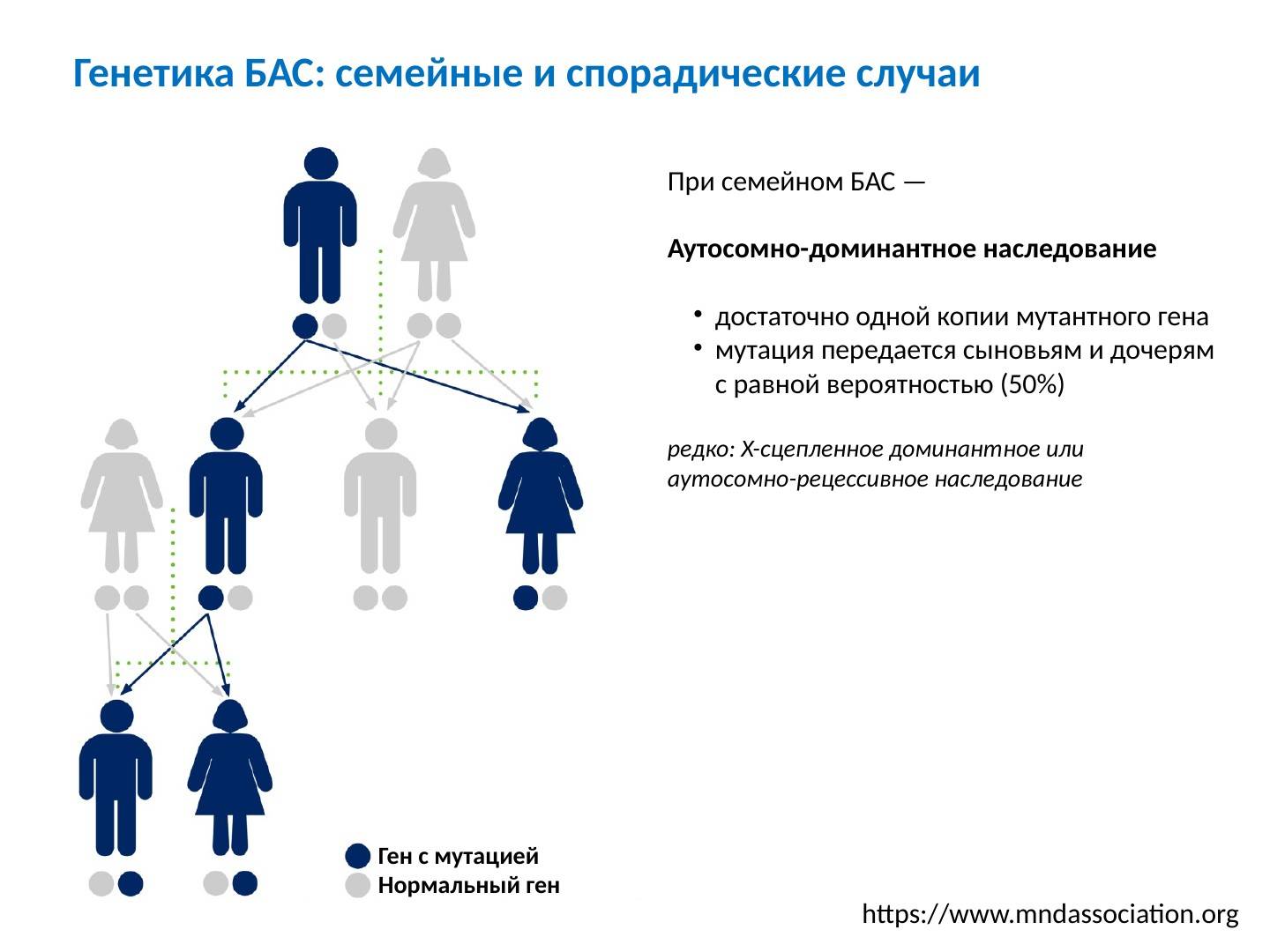 Генетика от родителей к детям. Наследование. Семейные болезни генетика. Что передается по наследству.