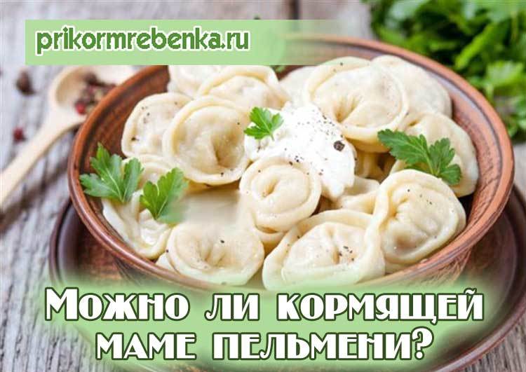 Домашние пельмени при грудном кормлении