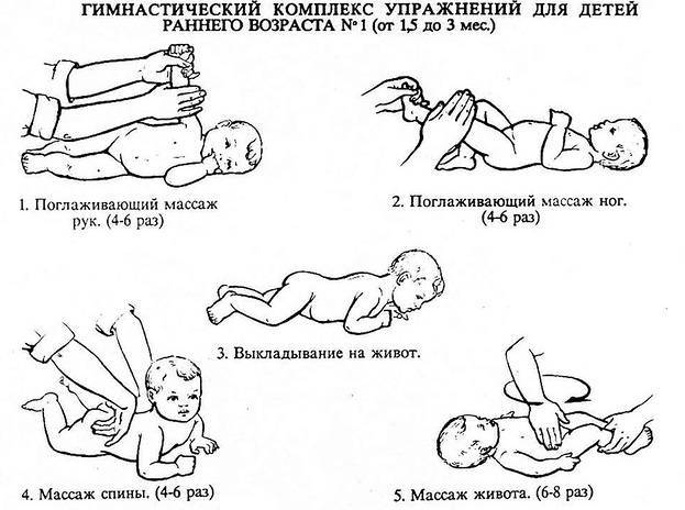 Развивающая гимнастика для малышей от 1,5 до 2-3 лет – европейский гимнастический центр
