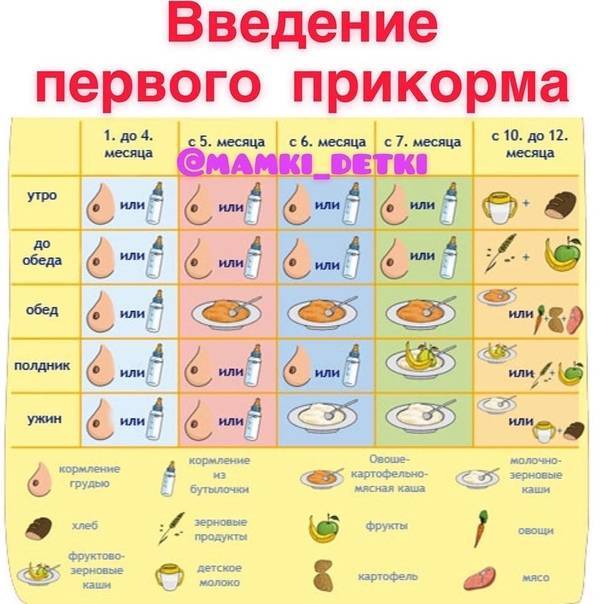 Картофельное пюре для грудничка: со скольки месяцев можно давать, рецепт приготовления, как правильно приготовить для первого прикорма