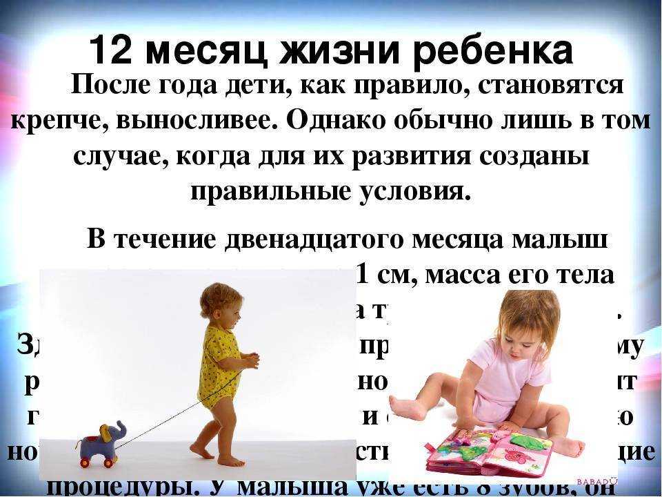 Что должен знать ребенок в 1 год: тест на развитие ребенка