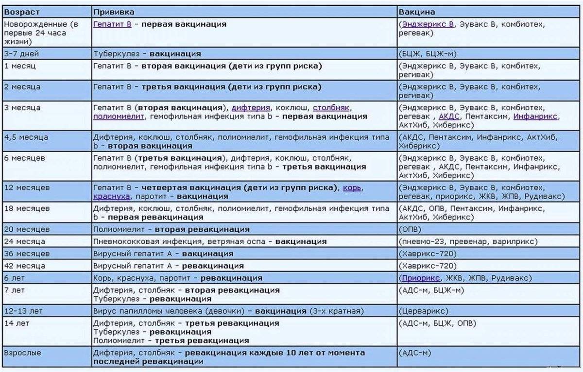 Как подготовить ребенка к прививке: рекомендации докторов и правила подготовки к прививкам акдс, бцж, ипв и др.