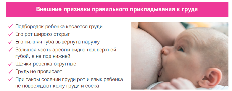 Что такое лактостаз? почему в молочных железах происходит застой?