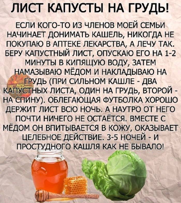 Кашель у ребенка в 6 месяцев: эффективные способы лечения и профилактики