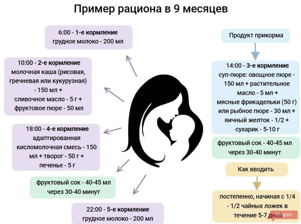 Рацион ребенка в 9 месяцев: меню 9-месячного малыша на грудном и искусственном вскармливании