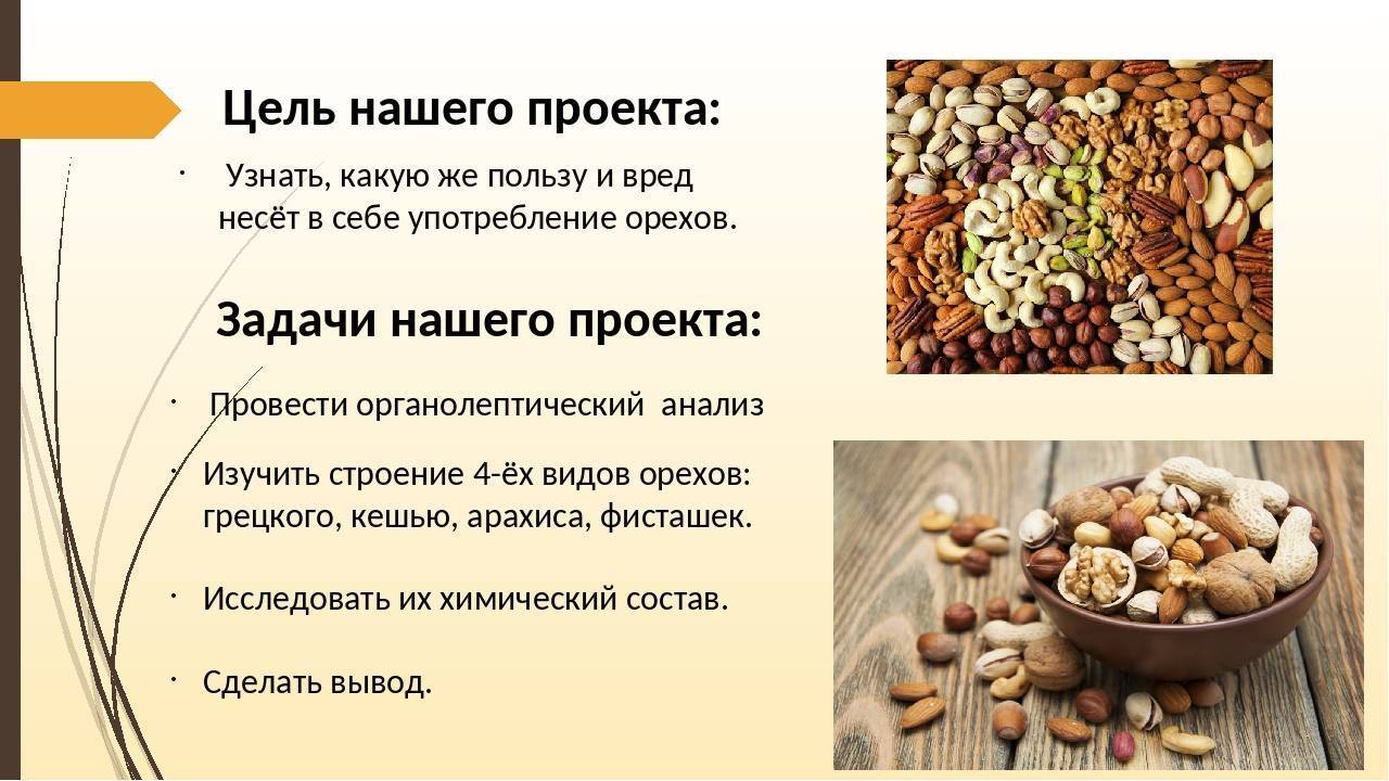 С какого возраста возможно вводить орехи в рацион детей: подробный гид
