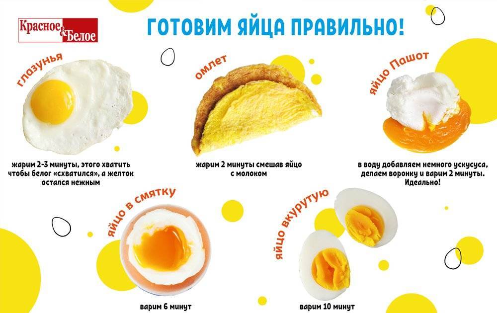 С какого возраста можно давать ребенку омлет из куриных яиц: рецепт, польза