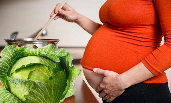 Квашеная капуста при беременности: можно ли кушать белокочанную тушеную, синюю свежую, пекинскую или брюссельскую на разных сроках вынашивания
