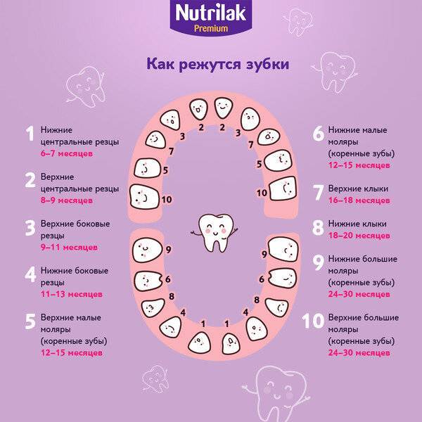 Первые зубы у ребенка: когда появляются, симптомы, что делать