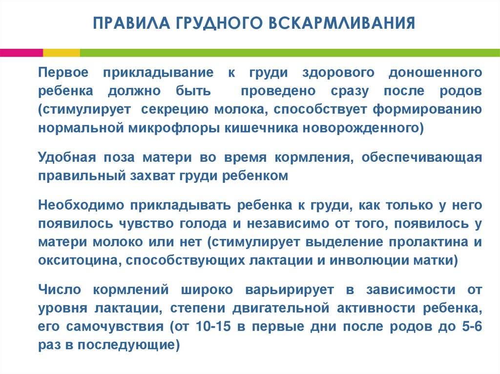 Основы успешного кормления грудью новорожденного