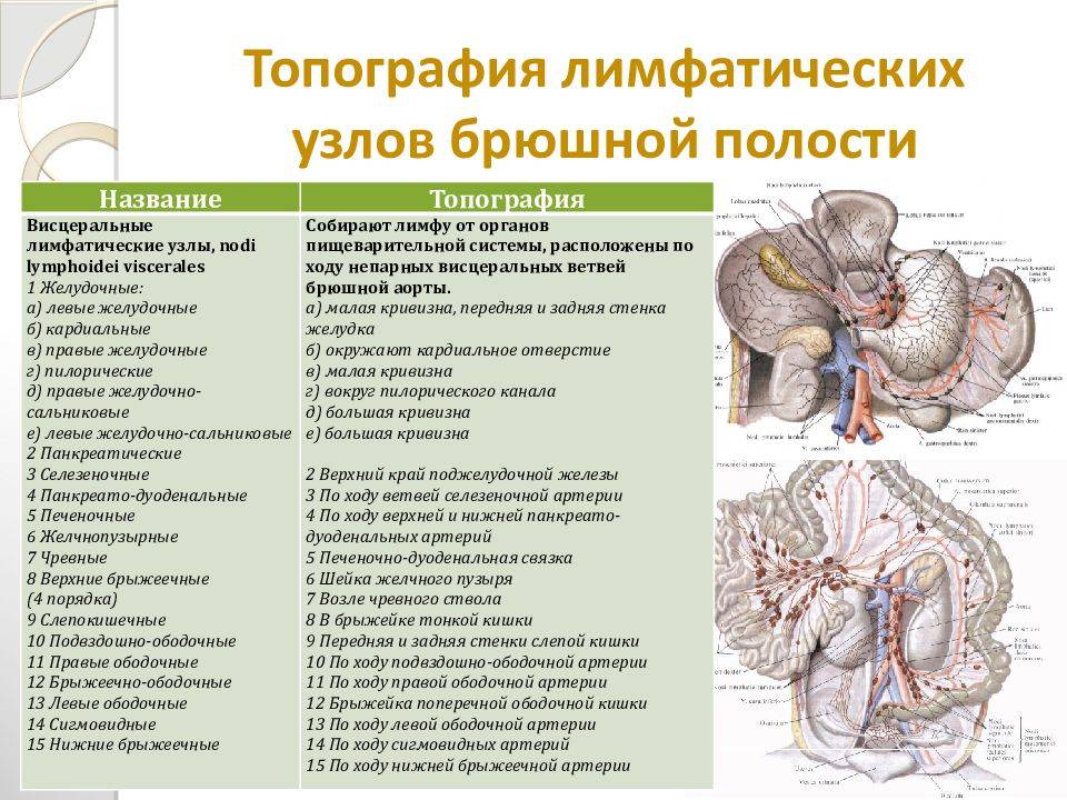 Мезаденит у взрослых: симптомы и лечение, причины, как лечить