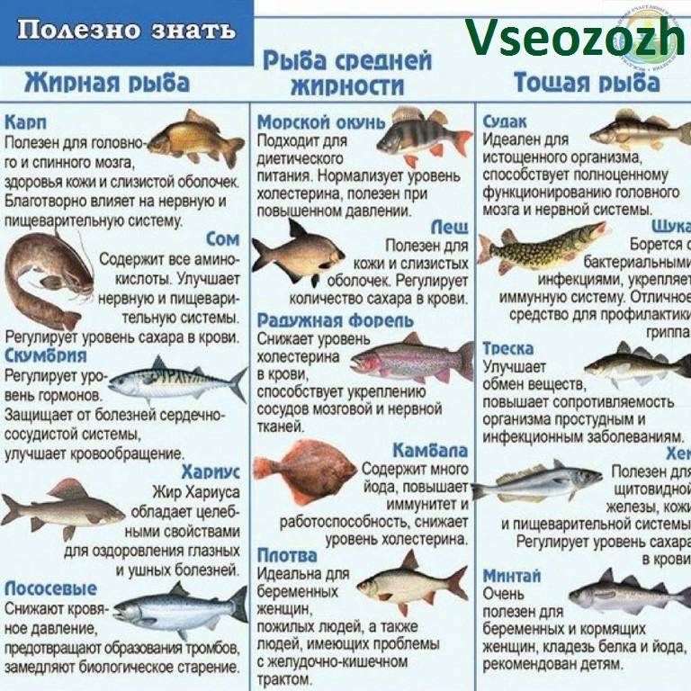Приготовление рыбного супа для ребенка 1 года и старше