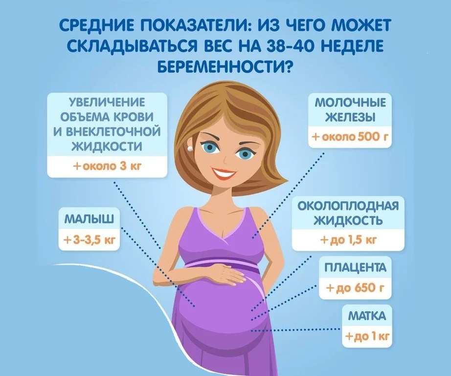 32 неделя беременности: это сколько месяцев, норма веса ребенка, роды, узи