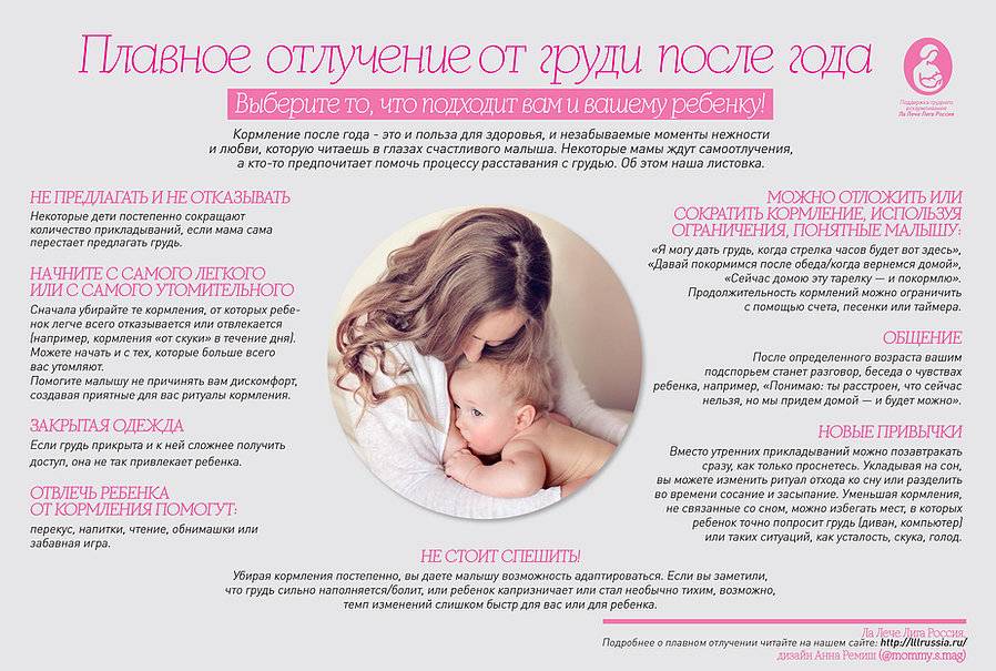 Отлучение ребенка от груди: 3 этапа подготовки