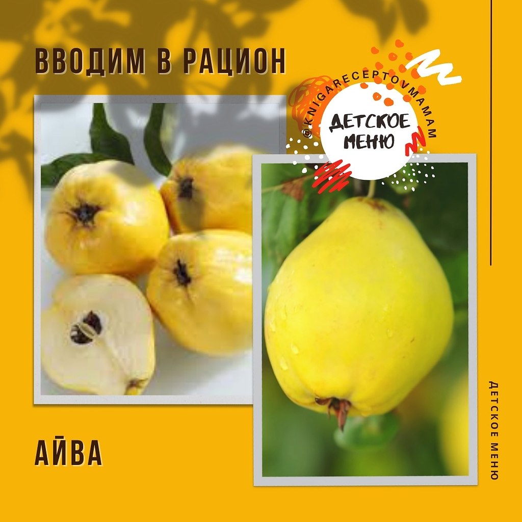 Айва - полезные свойства, как ее едят, что можно приготовить