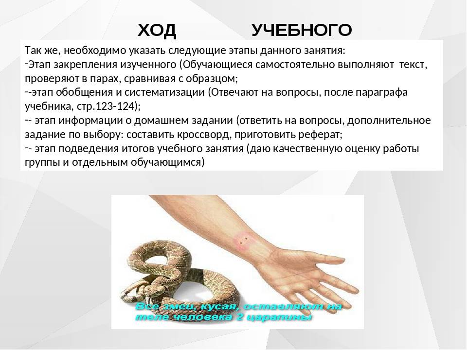 Укусы ядовитых змей, виды отравления змеиным ядом. что делать если укусила змея, первая помощь. :: polismed.com