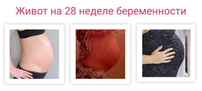 28 неделя беременности: это сколько месяцев, преждевременные роды, живот