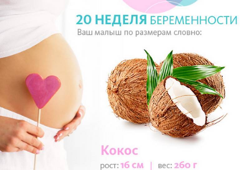 Первый триместр беременности – «интернет-кабинет здорового ребенка»