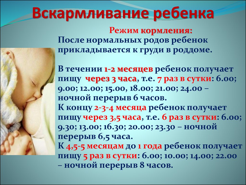 Какой режим кормления оптимален для новорожденного ребенка?