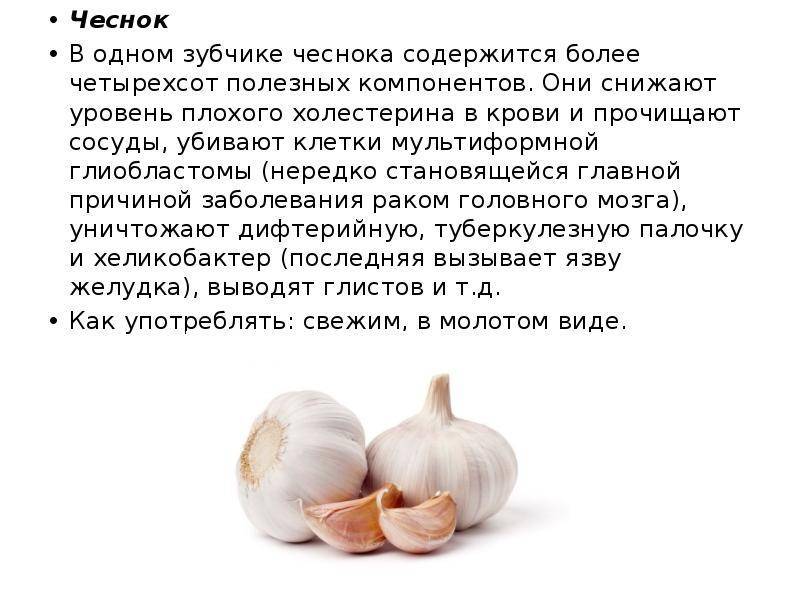 Чеснок при грудном вскармливании: можно ли кормящей маме