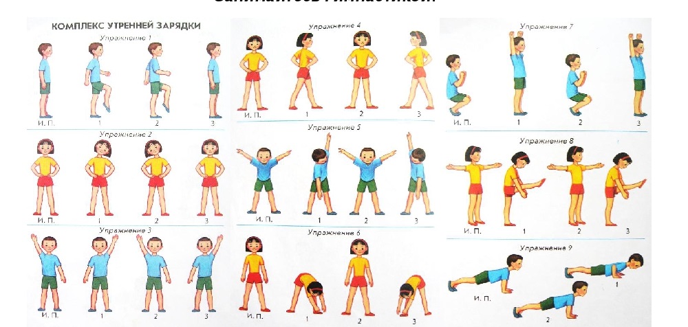 Зарядка с масиком. Комплекс упражнений утренней гимнастики 12 упражнений. Схемы зарядки для дошкольников. Комплекс утренней гимнастики 3 класс 12 упражнений. Комплекс упражнений по физкультуре для детей 4-5 лет.