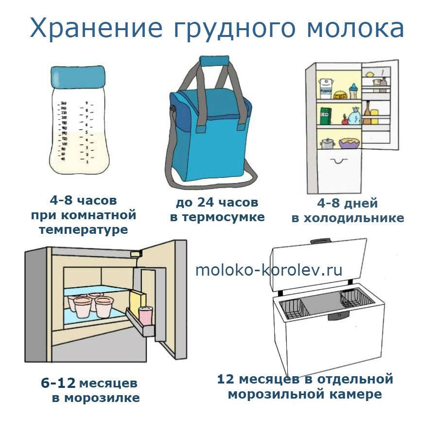 Как сцеживать грудное молоко руками правильно. сколько хранится грудное молоко в холодильнике - medside.ru