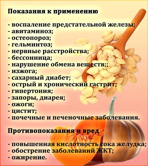Семечки при беременности (жареные, кунжутные, тыквенные): можно ли есть? / mama66.ru