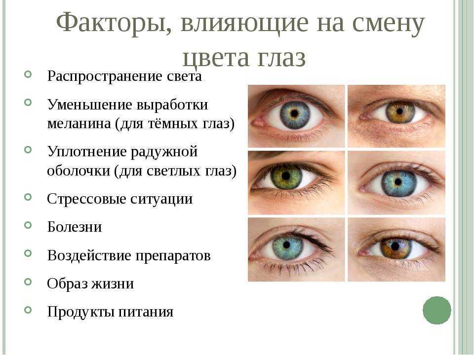 Может ли у ребенка поменяться. Цвет глаз зависит от. Факторы влияющие на цвет глаз у человека. Цвет глаз ребенка. На что влияет цвет глаз.