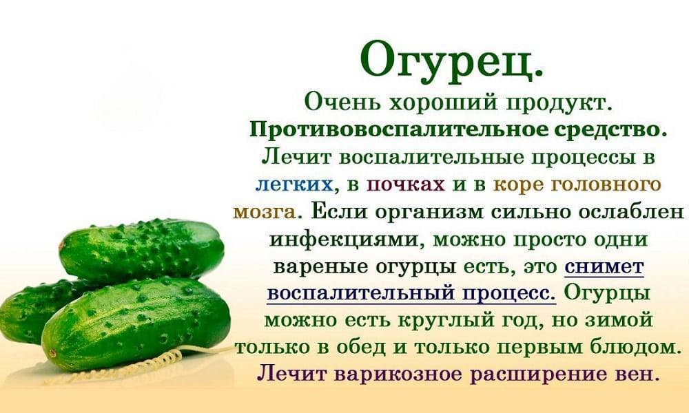 Прикорм ребенка: огурец