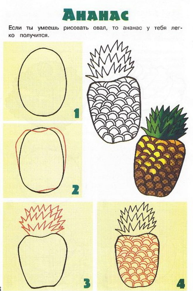 Как нарисовать овощи, фрукты и ягоды: пошаговая инструкция