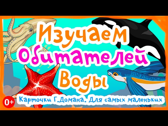 Морские обитатели (развивающий мультик). карточки домана