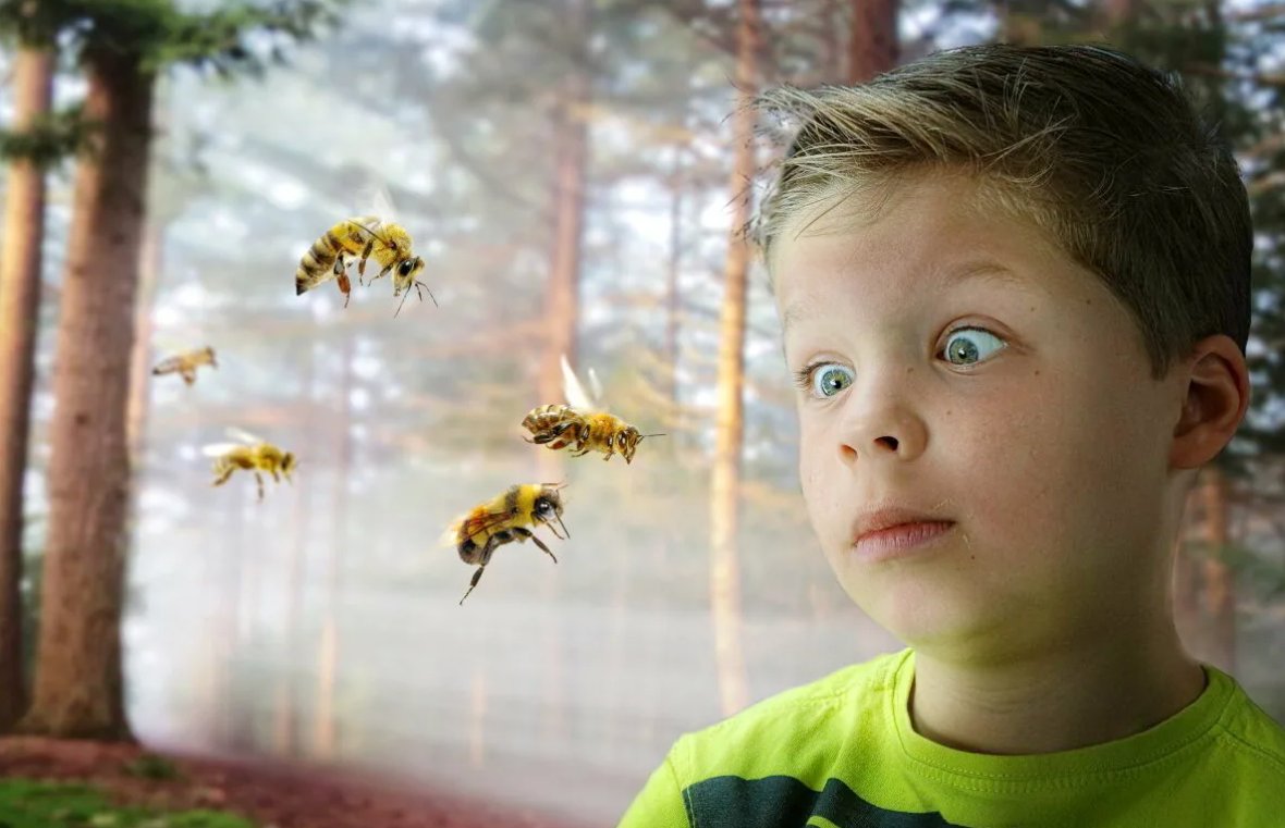 Ребенок боится насекомых | уроки для мам