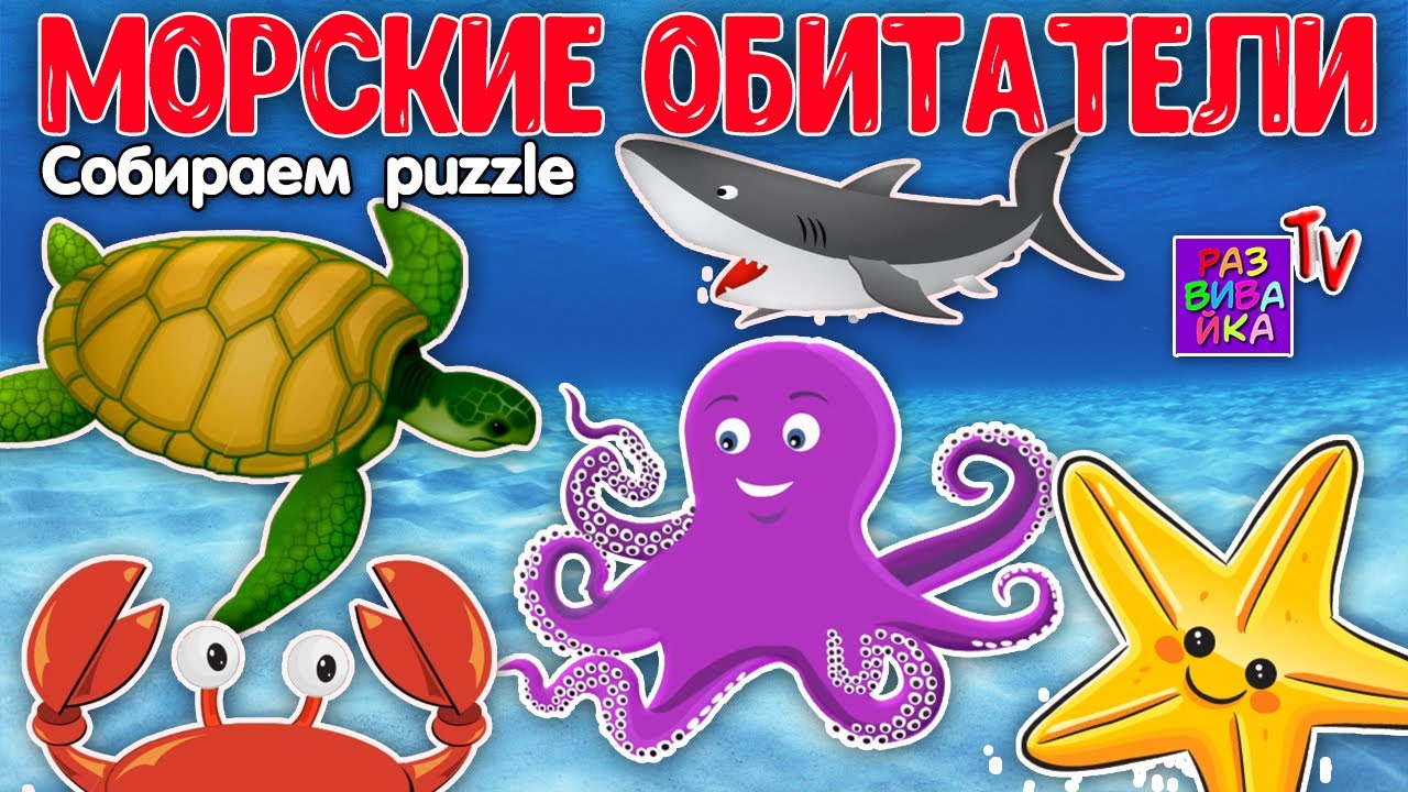 Морские обитатели (развивающий мультик). карточки домана
