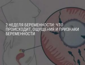 Симптомы беременности в первые дни после зачатия: ощущения, что происходит
