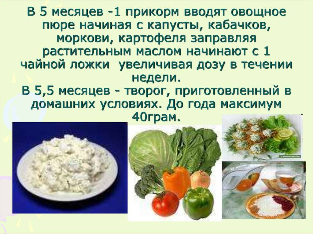 Рецепт пюре из цветной капусты для грудничка: как варить и заморозить прикорм