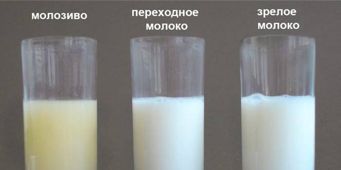 Переднее и заднее молоко. как меняется молоко во время кормления