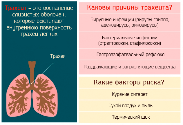 Бронхит у ребенка форум кашель. Хронический трахеит симптомы.