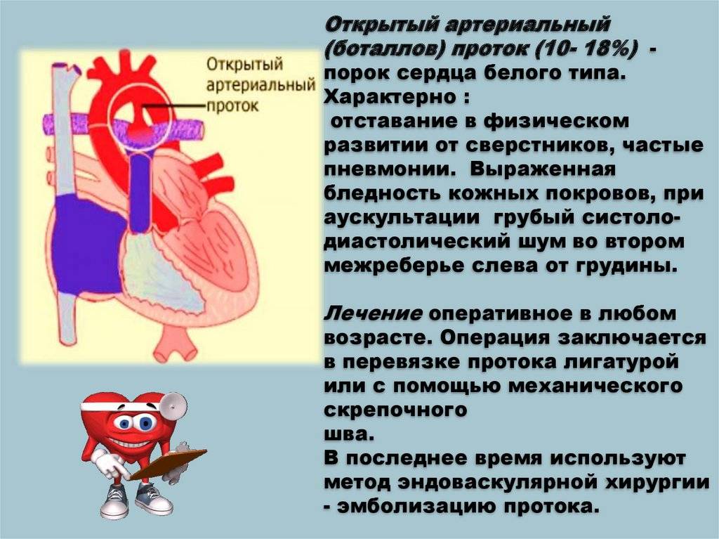Патологии сердца плода, которые можно определить на скрининговом узи