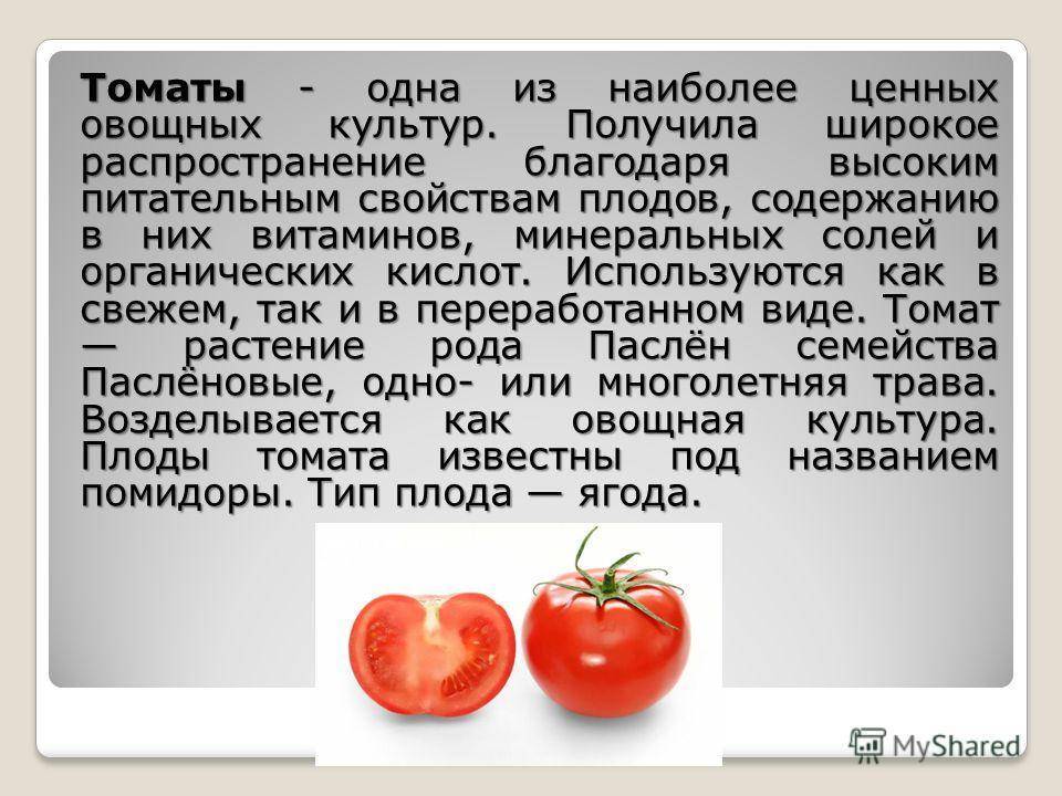 Что можно есть при грудном вскармливании - подробное описание